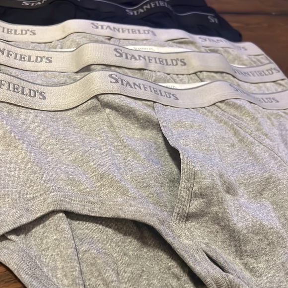 Stanfield’s Men’s Briefs, 6-pack - Picture 5 of 6